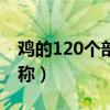 鸡的120个部位名称大全（鸡的120个部位名称）