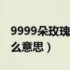 9999朵玫瑰代表什么意思（99朵玫瑰代表什么意思）