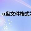 u盘文件格式怎么转换（文件格式怎么转换）