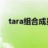 tara组合成员个人资料图片（t ara组合）