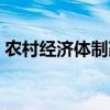 农村经济体制改革时间（农村经济体制改革）