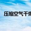 压缩空气干燥机设备（压缩空气干燥设备）