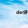 dsr评分在哪里看（dsr评分）