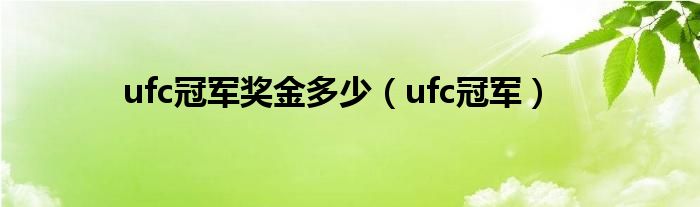 ufc冠军奖金多少（ufc冠军）