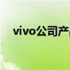 vivo公司产品经理（vivo产品经理工资）