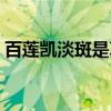 百莲凯淡斑是真的吗（百莲凯真的能祛斑吗）