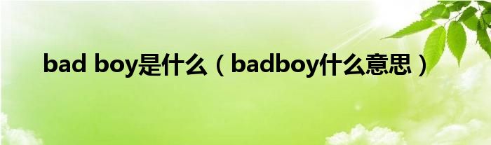 bad boy是什么（badboy什么意思）
