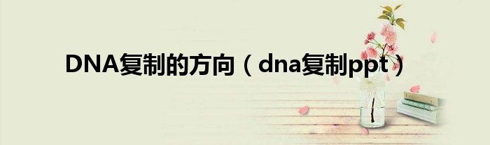 DNA复制的方向（dna复制ppt）