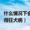 什么情况下会得狂犬病毒感染（什么情况下会得狂犬病）