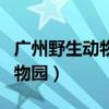 广州野生动物园开放时间及门票（广州野生动物园）