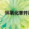 环氧化苯并芘 安全报仇（环氧化苯并芘）