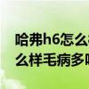 哈弗h6怎么样毛病多吗值得买吗（哈弗h6怎么样毛病多吗）