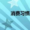 消费习惯改变不再囤货（消费习惯）