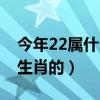 今年22属什么生肖的女孩（今年22岁属什么生肖的）