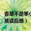 香草不是笨小孩读后感100字（香草不是笨小孩读后感）