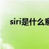 siri是什么意思网络语（siri是什么意思）