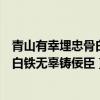 青山有幸埋忠骨白铁无辜铸佞臣出自哪里（青山有幸埋忠骨白铁无辜铸佞臣）