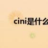 cini是什么意思（denim是什么意思）