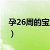 孕26周的宝宝图片（怀孕26周胎儿图片欣赏）