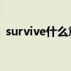 survive什么意思 释义（survive什么意思）