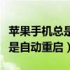 苹果手机总是自动重启开不开机（苹果手机总是自动重启）