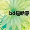 bd是啥意思啊（bd版本是什么意思）