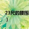 23尺的腰围是多少码（2尺4的腰围是多少码）