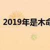 2019年是木命吗（2019年是木命还是土命）