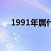 1991年属什么命五行（1991年属什么）