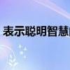 表示聪明智慧的字（代表聪明伶俐智慧的字）