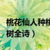 桃花仙人种桃树全诗是谁写的（桃花仙人种桃树全诗）