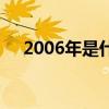 2006年是什么年啊（2006年是什么年）