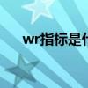 wr指标是什么意思（指标是什么意思）