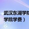 武汉东湖学院学费多少钱一年专科（武汉东湖学院学费）