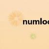 numlock自动开启（numlock）