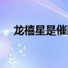 龙禧星是催款公司（龙禧星是干什么的）