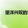 望洋兴叹的意思10字（望洋兴叹的意思）