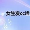 女生发cc啥意思（女生说cc是什么意思）