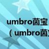 umbro茵宝 X ANGUS CHIANG联名休闲鞋（umbro茵宝）