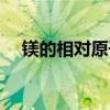 镁的相对原子质量（氯的相对原子质量）