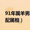 91年属羊男和什么属相最配（属羊91年男最配属相）