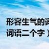 形容生气的词语二个字和四个字（形容生气的词语二个字）