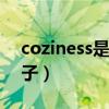 coziness是什么牌子（cozysteps是什么牌子）