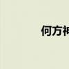 何方神圣演员表（何方神圣）