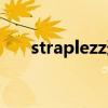 straplezz道具哪里有卖（straplezz）