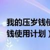 我的压岁钱使用计划怎么写一年级（我的压岁钱使用计划）