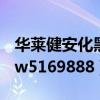 华莱健安化黑茶会员如何登录（华莱会员www5169888）