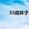 55度杯子里面是什么液体（55度杯）