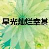 星光灿烂幸甚至哉小说在线阅读（星光灿烂）