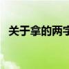 关于拿的两字词语（表示拿的词语两个字）